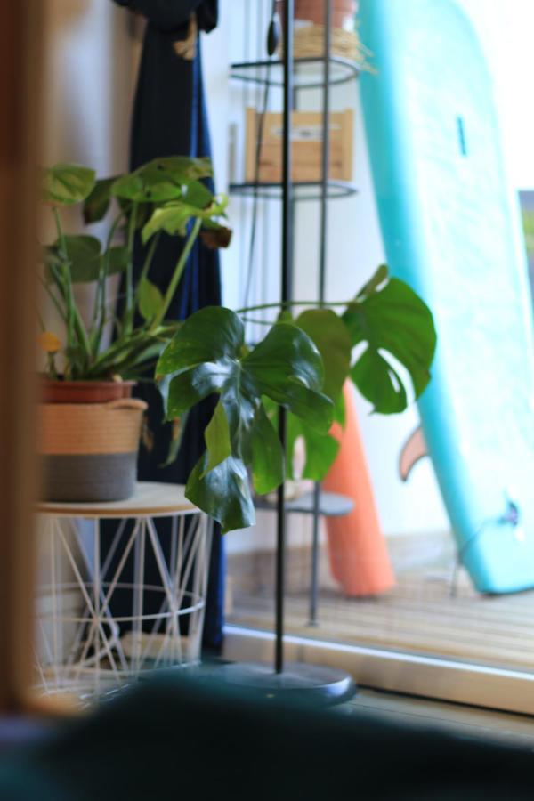 Bed and Breakfast Alma Libre Yoga&Surf House Bénesse-Maremne Exterior foto